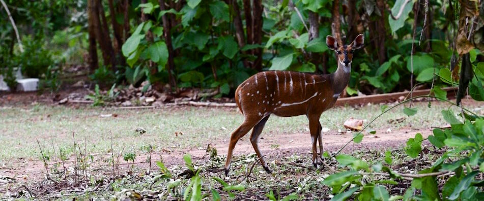 nature conservation initiatives